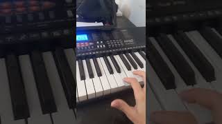 Duraznito Pibes Chorros TECLADO piano teclado viralvideos [upl. by Stannwood]