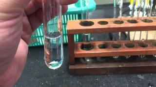 Cation Test Aluminium Ions [upl. by Dirtsa]