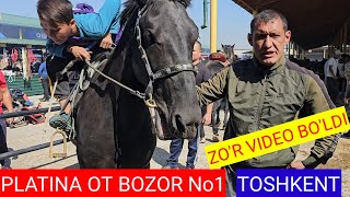 PLATINA OT BOZOR OT BOZOR VIDEOSINI KORING BOSSIZ CHAVANDOZ OKAMIZ ZOR GAPIRDILA [upl. by Bohannon]