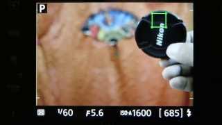 Nikon D3300 Review Continuous AutoFocus performance [upl. by Anirt160]