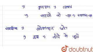 छत्रक umbel तथा समशिख corymb के अन्तर स्पष्ट कीजिए।  11  पुष्पी पादपों की आकारिकी [upl. by Tessy]