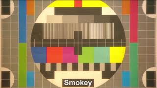 Testbeeld cam1 Smokey [upl. by Retswerb]