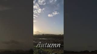 Falling into Autumn vanlife autumn uk [upl. by Ariahs190]