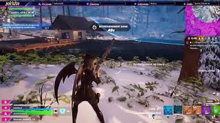 petit fortnite avec mon dog [upl. by Nosemyaj]