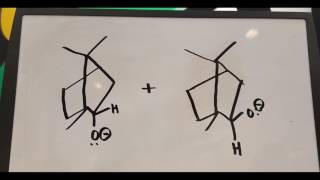 reduction of camphor to borneol and isoborneol v2 [upl. by Suzan]