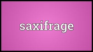 Saxifrage Meaning [upl. by Lindblad]