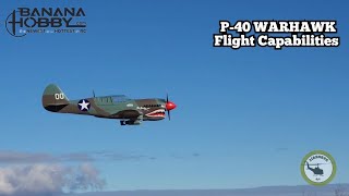 2m P40 Warhawk flight capabilities Roll loop 4 point and inverted Available at Banana Hobby [upl. by Nylaf]