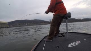 Striped Bass Guntersville Dam 05MAR17 [upl. by Previdi]