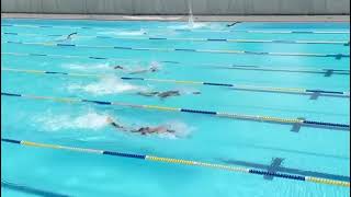 Matara District OpenSwimming Meet 50M Freestyle  Labima on 16052024 [upl. by Roswald]