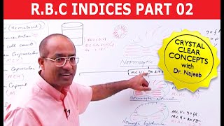 RBC Indices  Erythrocyte Indices  Hemoglobin Hematocrit MCV MCH amp MCHC  Part 2 [upl. by Rew]