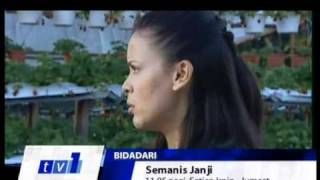 Drama Semanis Janji di TV1  promo 2010 [upl. by Godding]