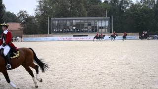 Hengstparade Moritzburg 13092014 Große Dressurquadrille mit 25 Warmbluthengsten [upl. by Nnylekoorb]