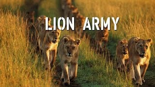 Lion Army  Battle to survive [upl. by Nyram]