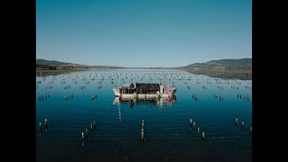 Yumbah  Dunalley Oyster Farm [upl. by Sid]