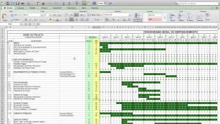 quotPlanilha de Cronograma FísicoFinanceiroquot por Leandro Borges da wwwluzvc [upl. by Loy]