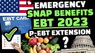 P EBT 2023 EBT BENEFITS EMERGENCY SNAP BENEFITS amp ALLOTMENT  TEXAS WISCONSIN COLORADO OHIO [upl. by Sevein]