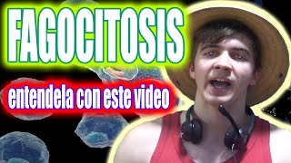 ENTENDÉ LA FAGOCITOSIS CON ESTE VIDEO AHORA MISMO☠😈 [upl. by Matthew780]