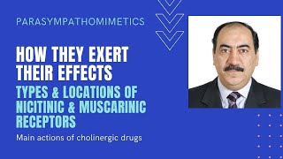 Parasympathomimetics Nicotinic and muscarinic receptors  Their agonists amp antagonists [upl. by Candida]