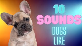 10 Sounds Dogs Like To Hear [upl. by Dillon]