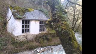 Bosque de Muniellos y Pozo de las Mujeres Muertas  Viajando por Asturias [upl. by Reldnahc]