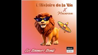 Lhistoire de la vie X Macarena Les Boomers Remix [upl. by Rehtnug695]