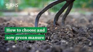 How to choose and sow green manure  The RHS [upl. by Lissy363]