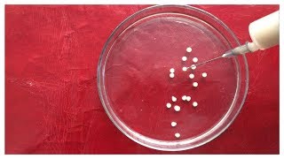 Enzyme Immobilization Techniques  Yeast Cell Immobilization  Enzymatic Immobilization Process [upl. by Stroup]