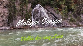 Maligne Canyon Vallée des cinq Lacs Alberta Canada Parc national Jasper [upl. by Bastian753]