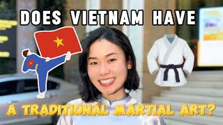 Does Vietnam have a traditional martial art ❓🇻🇳🥋 [upl. by Hedwig248]