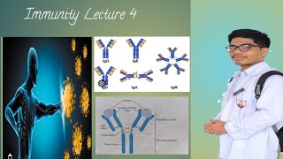 Structure of AntibodiesClasses of Immunoglobulins [upl. by Kilgore]