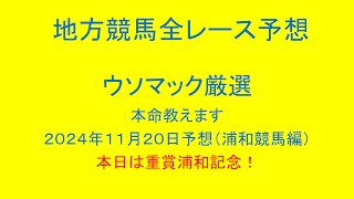 地方競馬（浦和競馬）全レース予想！ウソマックが厳選した本命教えます。２０２４年１１月２０日予想！本日は重賞浦和記念！ [upl. by Otrebogad]