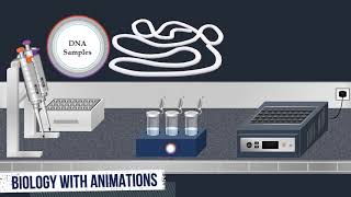 Southern Blot Method  Animated Video [upl. by Jocelyn234]