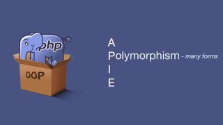 Object Oriented Polymorphism [upl. by Calvert]