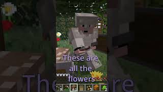 Bee Sanctuary funny friends clips minecraft [upl. by Roberson]