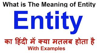 Entity Meaning in Hindi  Entity Definition  Entity Ka Matlab Kya Hota Hai  Entity in Hindi [upl. by Eisler717]