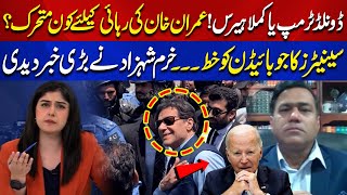 Donald Trump or Kamala Harris  Whos Taking Action for Imran Khans Release  Aik News [upl. by Nonnairb]