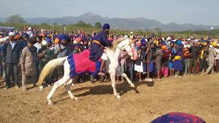 Holla mohallGHORDHOR anandpur Sahib 2021Nahag Singh [upl. by Fairleigh]