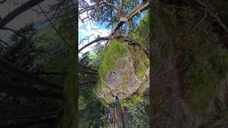 Hiking the Bavarian Alps  Scenic Adventure in Füssen Germany [upl. by Nrojb]