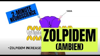 2Minute Neuroscience Zolpidem Ambien [upl. by Retrac681]