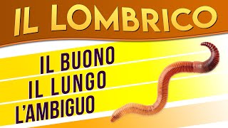 Il Lombrico il buono il lungo lambiguo ► Puntata 15 [upl. by Malvie]