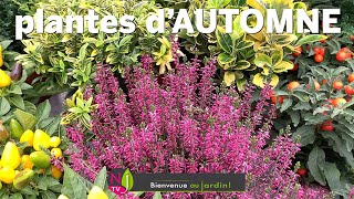 PROFITEZ PLUS LONGTEMPS DE VOTRE JARDIN AVEC UN BEAU KALÉIDOSCOPE DE PLANTES ET FLEURS D’AUTOMNE [upl. by Eixel627]