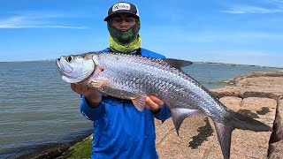 Texas Jetty Fishing for TARPON [upl. by Bassett]