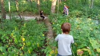 Climbing downed tree off of the trail with my boys [upl. by Yssis]