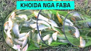 Grass carp  Rohu  Common Carp  khoida faba  khoi thaba  Fishing  khoi mela [upl. by Olifoet]