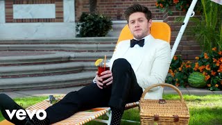 Niall Horan  No Judgement Official Video [upl. by Roley]