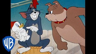 Tom amp Jerry in italiano  Cartoni Animati Classici Compilazione  Tom Jerry e Spike  WB Kids [upl. by Etra]