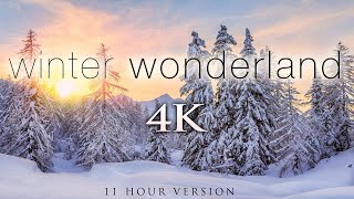 4K 11 Hours of Winter Wonderland  Calming Hang Drum Music for Relaxation Stress Relief UHD [upl. by Kcirrej389]