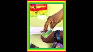 To vote nicely without spoiling the ballot paper follow these simple steps [upl. by Anida]