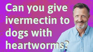 Can you give ivermectin to dogs with heartworms [upl. by Quennie]