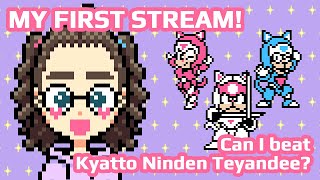 My First Stream Can I beat Kyatto Ninden Teyandee [upl. by Cardew]